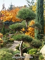 wbgarden autumn 3